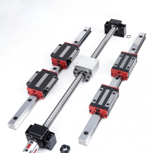 Ball Screw and Linear Guide Assembly